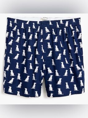 J.CREW Woven Boxer Shorts in Labs Print